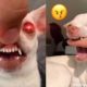 😲 Aww! The Funniest and Cutest Dogs Ever #25 | ChihuahuaTV