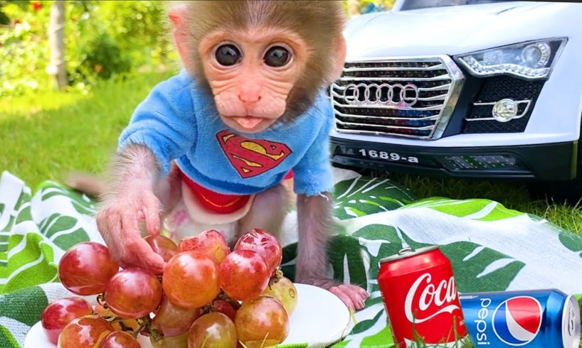 Baby monkey Bon Bon and puppy go to a picnic to eat lunch