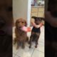 Best Cute Puppies Doing Funny Things|Cutest Puppies 2021#573.