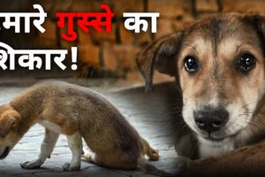 Best way to deal with angry people | Dog Rescue | Robin Singh