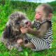 BiBi has fun play with Bely dog in the meadow