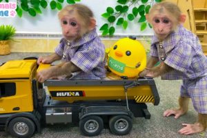 BiBi takes chicks to sell fruit