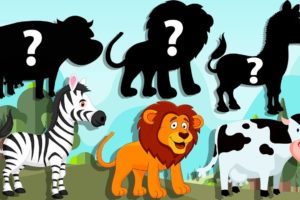 CUTE ANIMALS Cow, Zebra, Lion, Tiger, Bison, Horse, 소, 얼룩말, 말, 고양이, 기린, 코끼리, 사자, 하마, 기니피그 #11