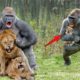 Craziest Fights Of Wild Animal In Africa►► Gorilla vs Lion, Hippo vs Wild Dogs, Rhino Fighting...