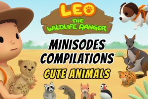 Cute Animals Minisode Compilation - Leo the Wildlife Ranger | Animation | For Kids