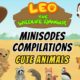 Cute Animals Minisode Compilation - Leo the Wildlife Ranger | Animation | For Kids