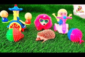 Cute and Adorable Hedgehog Plays with Toy, cutest and funny pets, Animals Kingdom #12