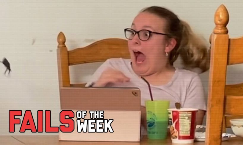 Don’t Freak Out! Fails of the Week | FailArmy