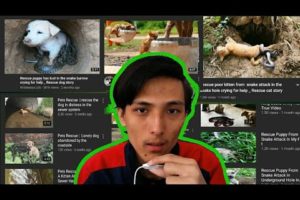 EXPOSING some Fake Animal Rescue Videos.