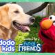 Elmo Helps The Most Energetic Shelter Dog Find Perfect Forever Family With Dodo Kids + Sesame Street