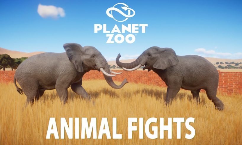 Every Animal Fights in Planet Zoo - PLANET ZOO | Planet Zoo Animal Fights | PART 1