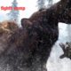 FAR CRY PRIMAL -THE BEST WILD Animal FIGHTS COMPLITION!!!!!!!!!!!
