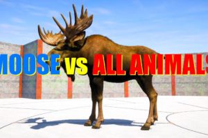 Far Cry 5 Arcade - Animal Fight: Moose vs All Animals