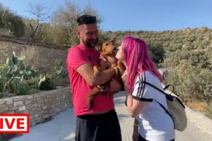 Finally!! A forever home for Bingo!! - Takis Shelter