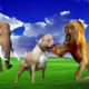Forest Animals Elephant - Monkey- lion - Dog playing with each other, animals video, farm animals