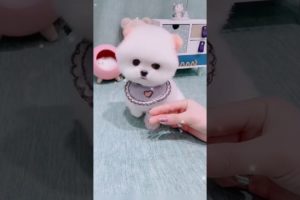 Funny and Cute Dogs Videos Compilation 2021_|08|_ #shorts