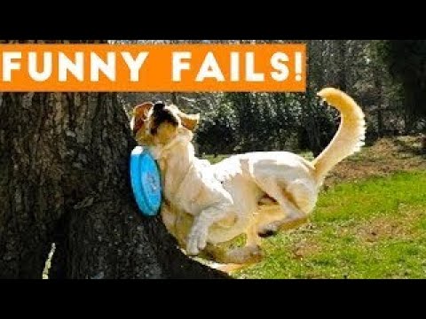 Funny dog fail compilation 2021 . Fail of the week!! #Legendaryfail #failarmy #fail