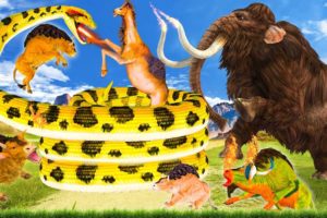 Giant Mammoth vs Giant Snake Biggest Animal Fight Buffalo Save From Camel By Giant Snake Fight