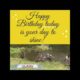 Happy Birthday Song Quote Animals Bathing  Funny Gif  Video Card