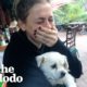 Iliza Shlesinger Cries Happy Tears Meeting New Rescue Dog | The Dodo You Know Me Now Meet My Pet