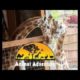 Johari & Oliver Giraffe Cam - Animal Adventure Park