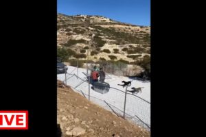 Look at how happy they are  - Takis Shelter