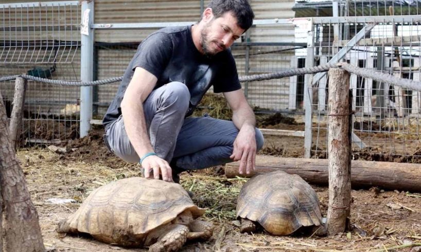 Man Rescues Animals And Cuddles With Them