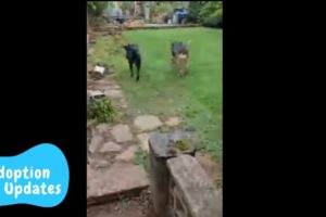 Markos and Antonia in their new home - Takis Shelter