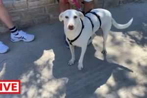 Melina is going to Sweden!! - Takis Shelter