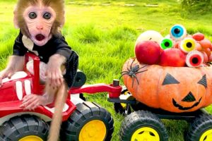 Monkey Baby Bon Bon and puppy play with Halloween Pumpkin car and eat Eyeball Jelly