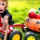 Monkey Baby Bon Bon and puppy play with Halloween Pumpkin car and eat Eyeball Jelly