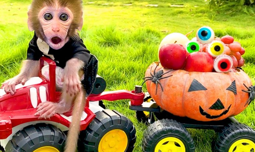 Monkey Baby Bon Bon and puppy play with Halloween Pumpkin car and eat Eyeball Jelly