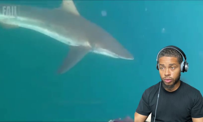 Near Death Experiences / Close Calls! 😲