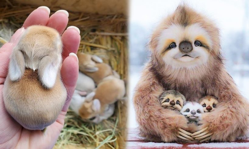OMG Animals SOO Cute! Cute baby animals Videos Compilation AWW CUTEST moment of the animals #2