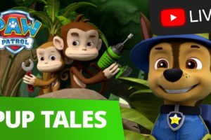 🔴 PAW Patrol Season 7 Moto Pups, Dino Rescue, Mighty Pups and MORE! 24/7 Pup Tales Episodes