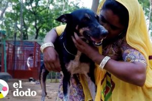 Perro herido no puede dejar de sonreír después de su rescate | El Dodo