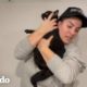 Plomero rescata a una gatita embarazada atrapada I El Dodo