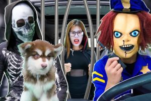 Skeleton rescues Puppy from Prison | Police with Car Ride Chase! + more Stories