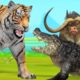 Tiger Attack Buffalos Crocodile Fight Wild animal Fights Videos Giant Buffalo Wild Crocodile Tiger