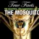 True Facts: The Mosquito