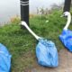 Trying To Save A Very ANGRY Swan Tangled In Fishing Net | Dramatic Rescue