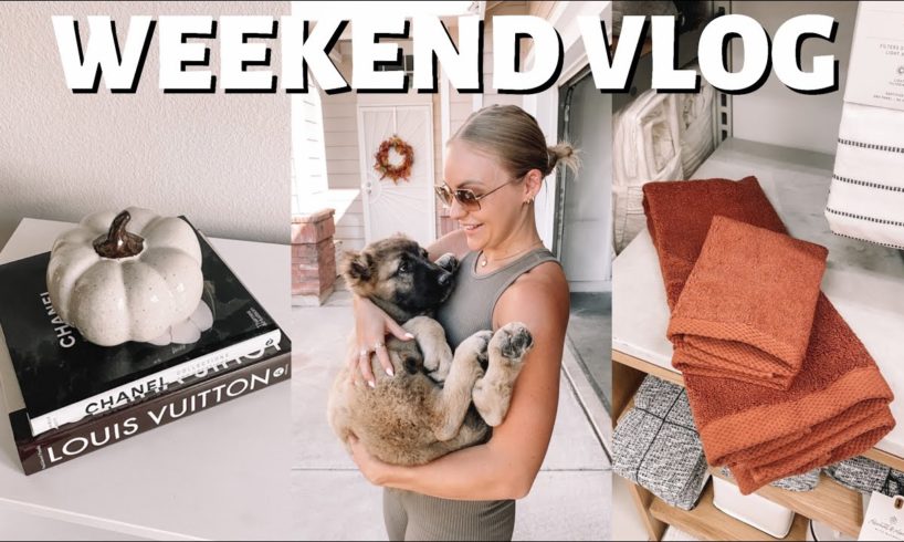 WEEKEND VLOG: redecorating my apartment, fall decor shopping, cutest puppy, etc