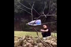 Watch This Amazingly Accurate Sling Shot 😱😱😱People are Awesome #Shorts