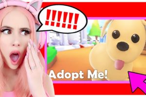 Why I Hate Adopt Me