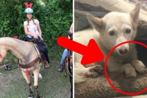 Woman Rescues Dog From Cage In Woods, Then Notices Its Legs