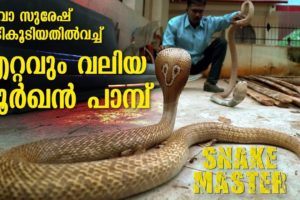 Wow ! Vava Suresh rescues Largest Cobra ever | Snakemaster |  Latest episode