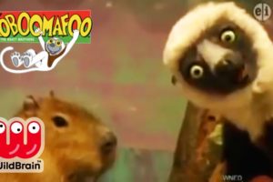 Zoboomafoo | Episode: Lemur Explores Zoo Animals | Animals For Kids
