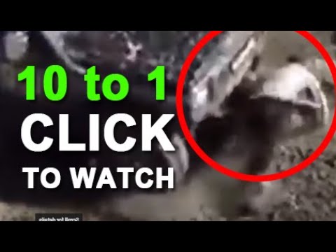 close to death 2021 #2 best compilation Ultimate Near Deaths | WATCH NOW compilation amazing videos