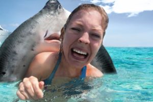 10 Coolest Places To Swim With Wild Animals