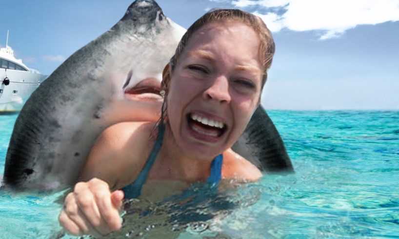 10 Coolest Places To Swim With Wild Animals